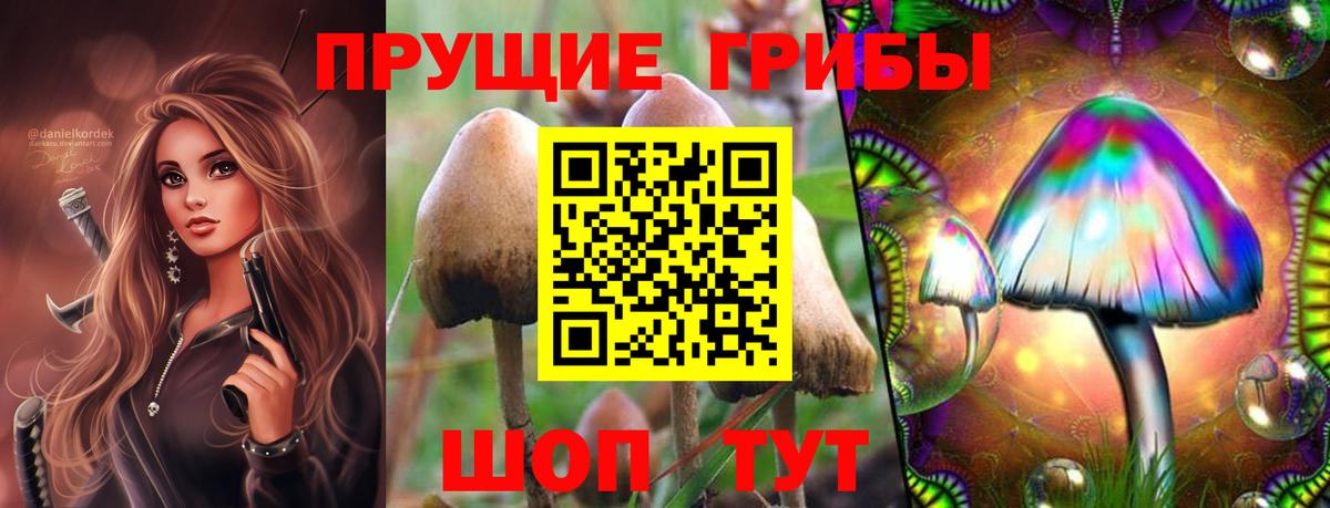 Псилоцибиновые грибы прущие грибы Городец